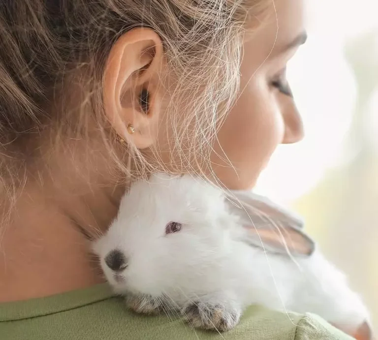 leaping bunny